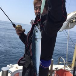 シーモンキー 釣果