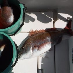 BlueNote Fishing Taxi 釣果