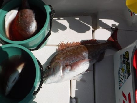 BlueNote Fishing Taxi 釣果