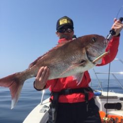 シーモンキー 釣果