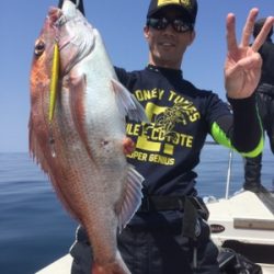 シーモンキー 釣果