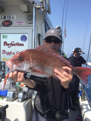 シーモンキー 釣果