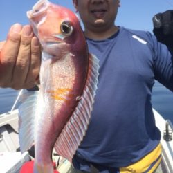 シーモンキー 釣果