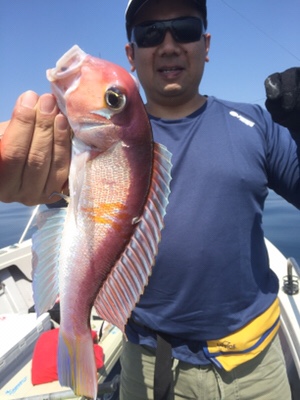 シーモンキー 釣果