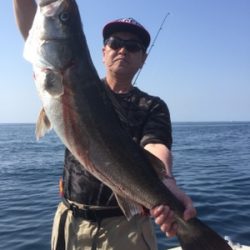 シーモンキー 釣果