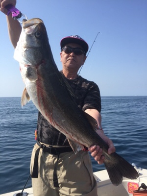 シーモンキー 釣果