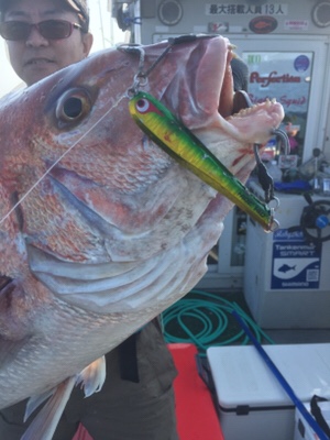 シーモンキー 釣果