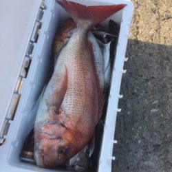 シーモンキー 釣果