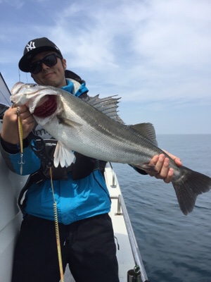 シーモンキー 釣果