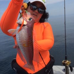 シーモンキー 釣果