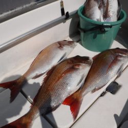 BlueNote Fishing Taxi 釣果