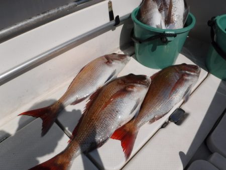 BlueNote Fishing Taxi 釣果