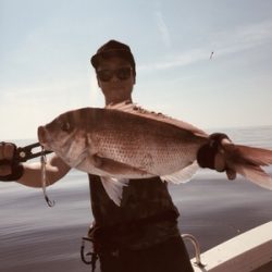 シーモンキー 釣果