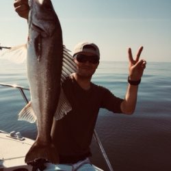 シーモンキー 釣果