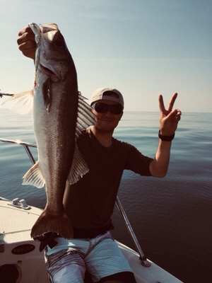 シーモンキー 釣果