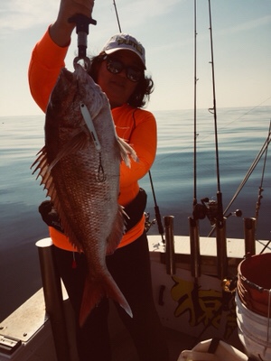 シーモンキー 釣果