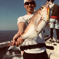 シーモンキー 釣果