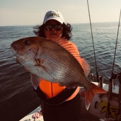 シーモンキー 釣果