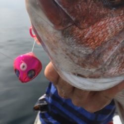 シーモンキー 釣果