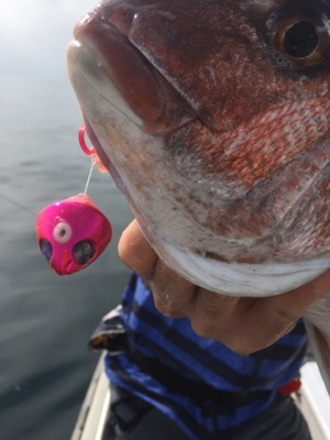 シーモンキー 釣果