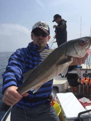 シーモンキー 釣果