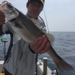 シーモンキー 釣果