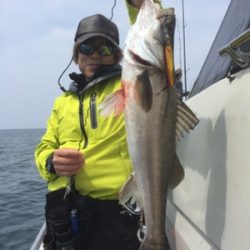 シーモンキー 釣果