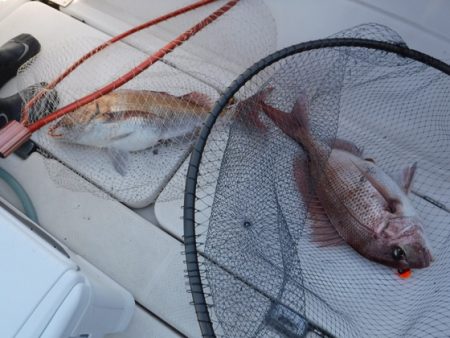 BlueNote Fishing Taxi 釣果