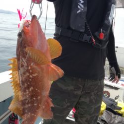 リトルワン 釣果