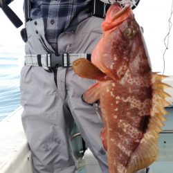 リトルワン 釣果