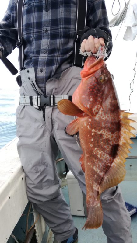 リトルワン 釣果