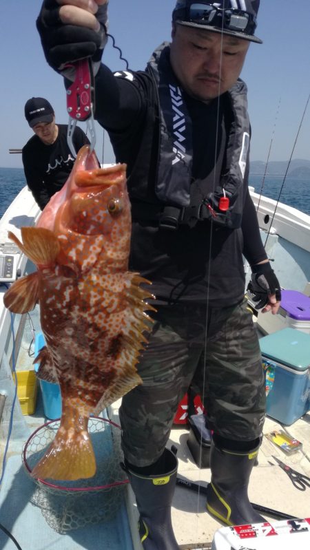 リトルワン 釣果