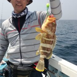 リトルワン 釣果