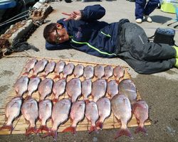 魚英 釣果
