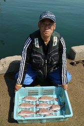 魚英 釣果