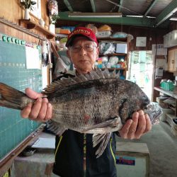ふじや釣舟店 釣果
