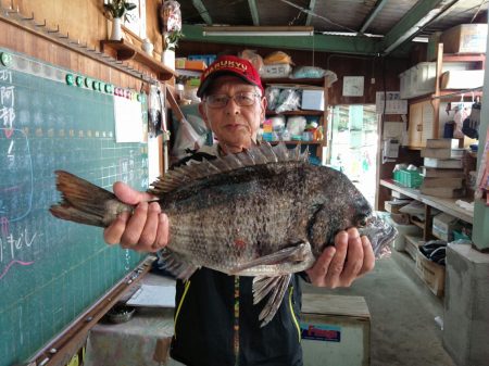 ふじや釣舟店 釣果