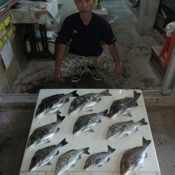 ふじや釣舟店 釣果