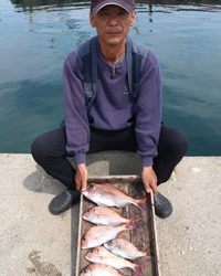 魚英 釣果