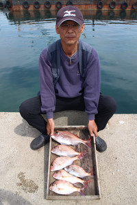 魚英 釣果