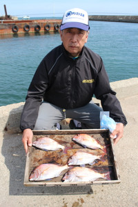 魚英 釣果