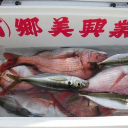 大進丸(新潟) 釣果