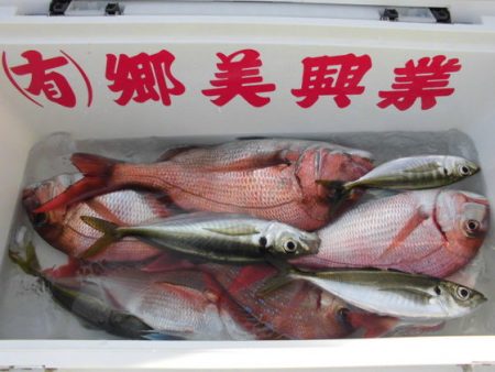 大進丸(新潟) 釣果