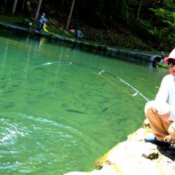 小菅トラウトガーデン 釣果