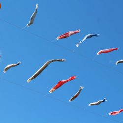 小菅トラウトガーデン 釣果