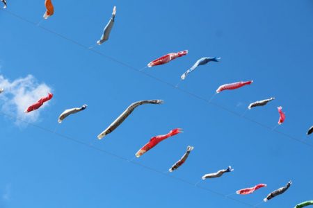 小菅トラウトガーデン 釣果