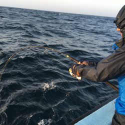 松鶴丸 釣果