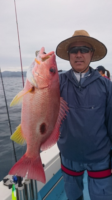 海晴丸 釣果