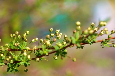 小菅トラウトガーデン 釣果