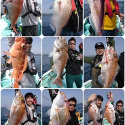 シードリーム 釣果